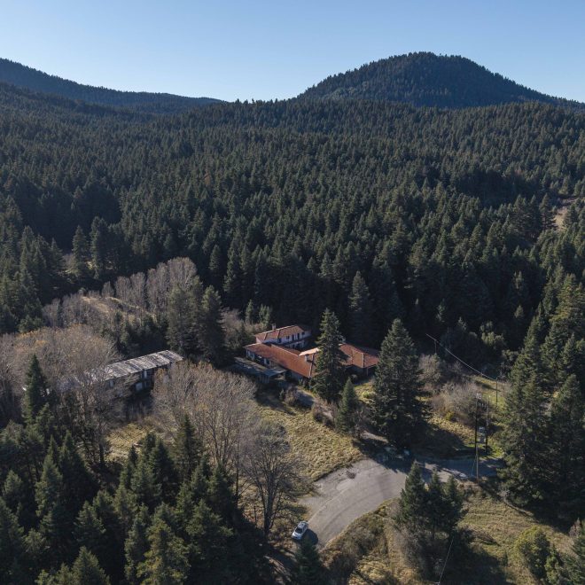 ETAD XENIA VYTINA 2025