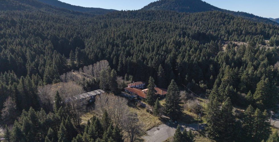 ETAD XENIA VYTINA 2025